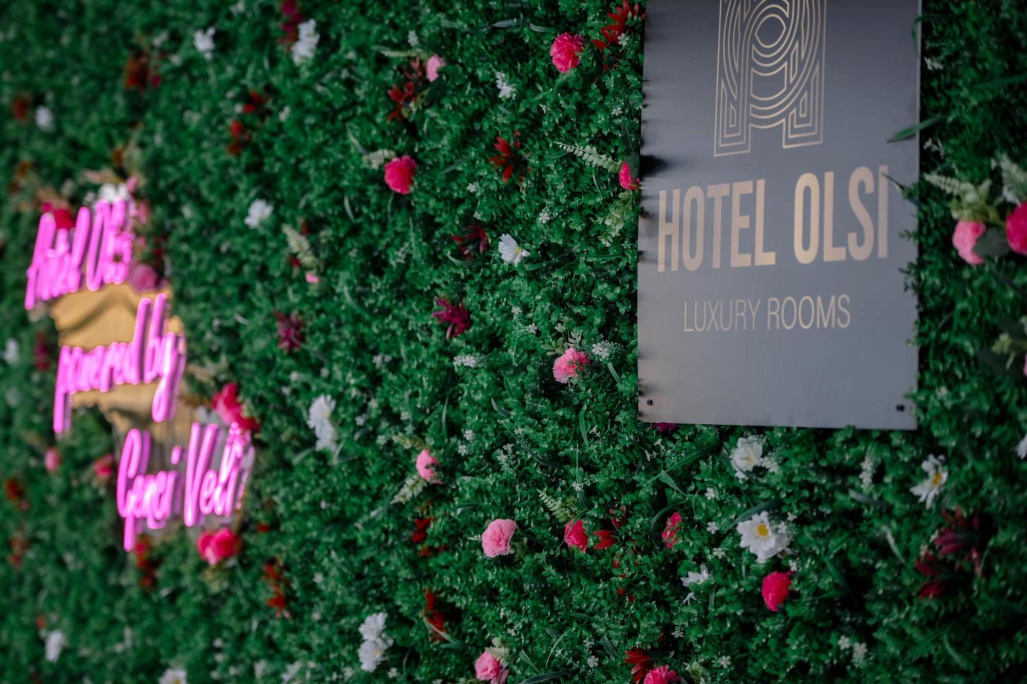 Hotel Olsi